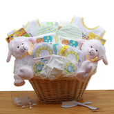 Double Delight Twins New Baby Gift Basket